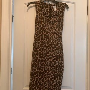 Cache Leopard dress size XS